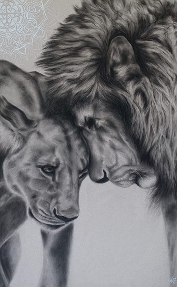 love-animal