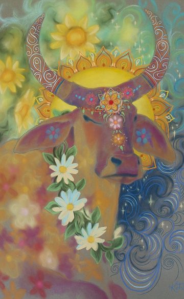 cow-india