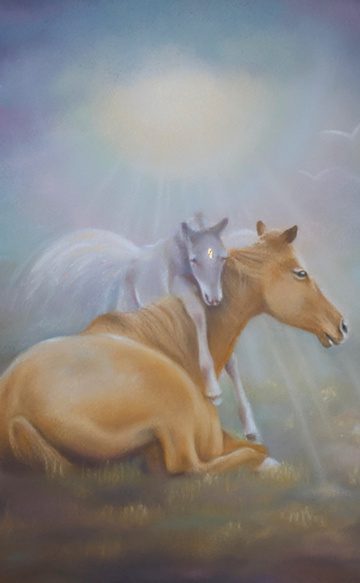 horses-recent