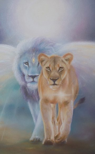lions-recent